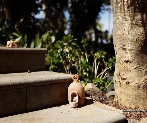 Masoala Landhaus Tacoronte