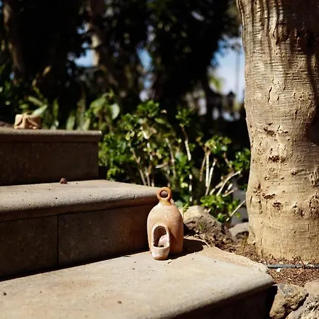 Masoala Kır Evi Tacoronte