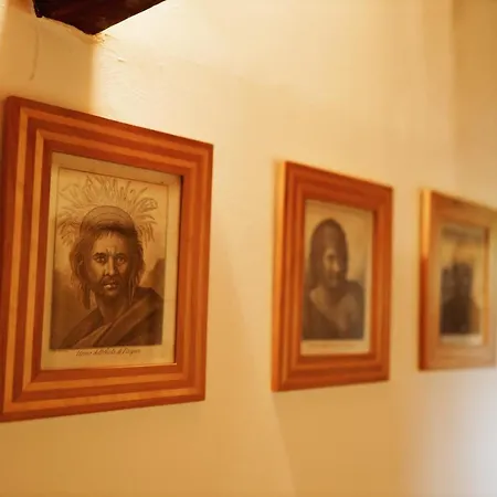 Masoala タコロンテ